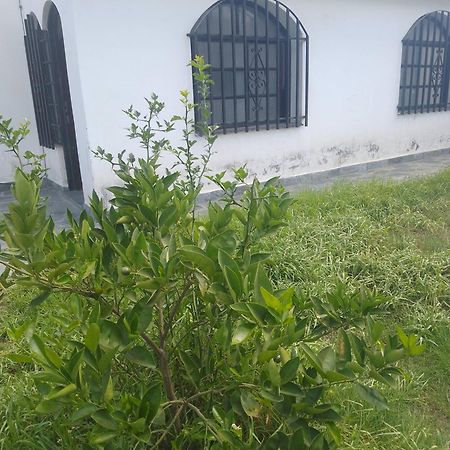 Hostel Alto Alberdi قرطبة المظهر الخارجي الصورة