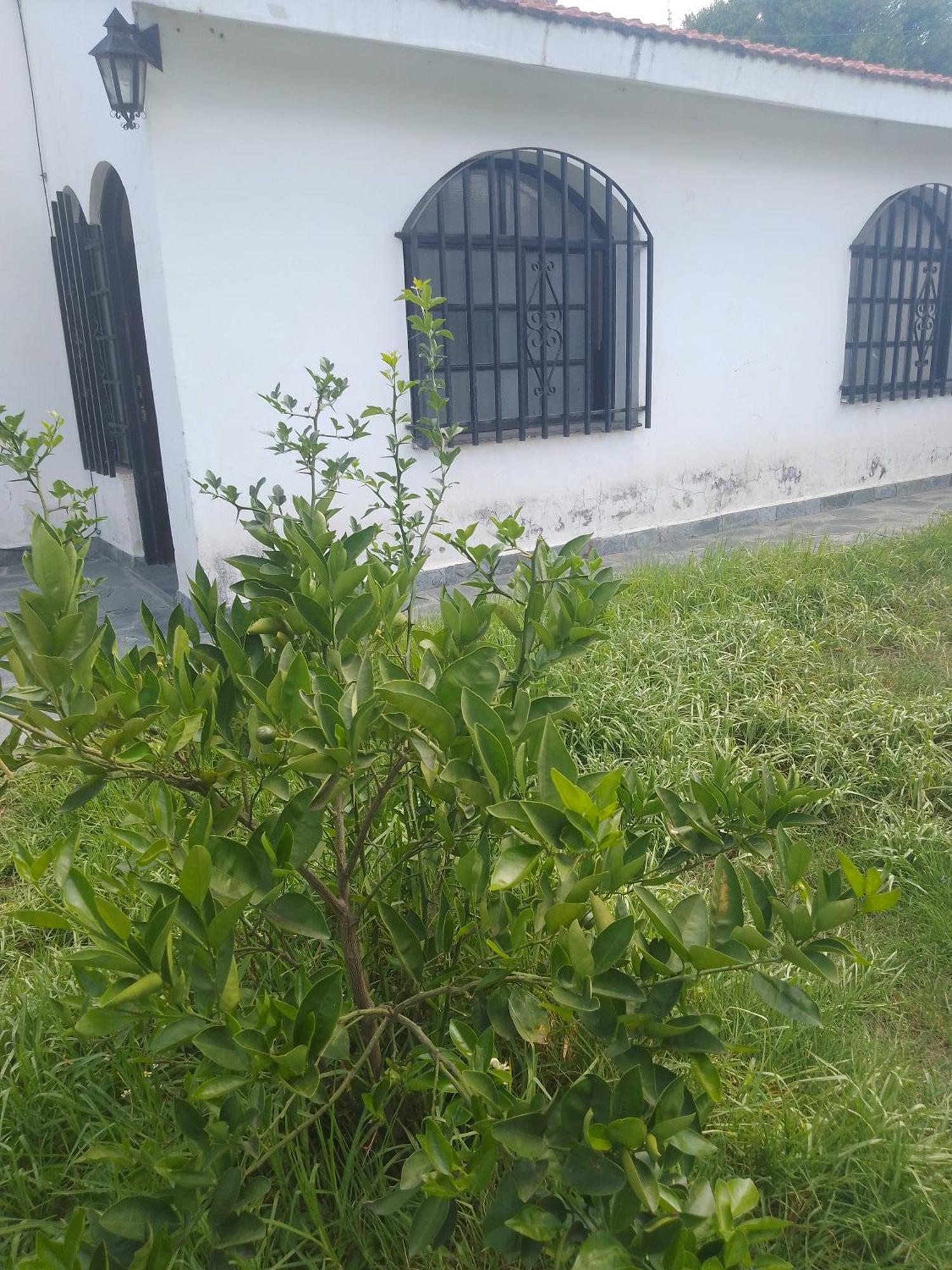 Hostel Alto Alberdi قرطبة المظهر الخارجي الصورة